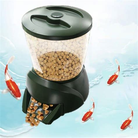 6 Best Pond Fish Feeders Reviewed in Detail (Winter 2025).